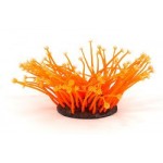 27129 Neon Coral (L) Orange